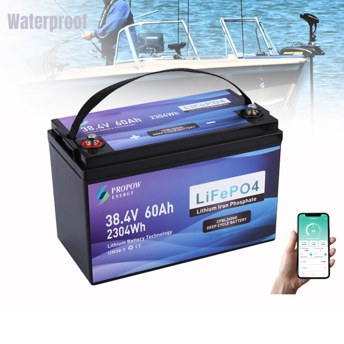 Аккумуляторы для моторов 36В,  – обзор и цена Fishing Boat Trolling Motor